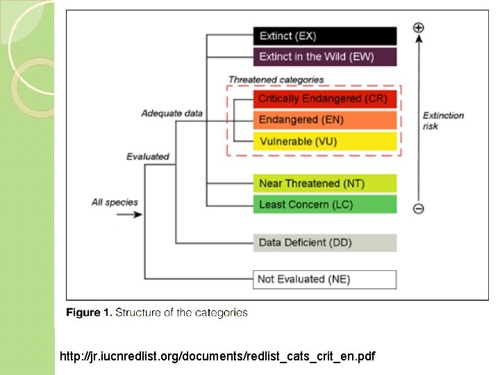 http: //jr. iucnredlist. org/documents/redlist_cats_crit_en. pdf 