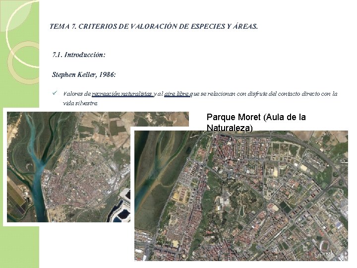 TEMA 7. CRITERIOS DE VALORACIÓN DE ESPECIES Y ÁREAS. 7. 1. Introducción: Stephen Keller,