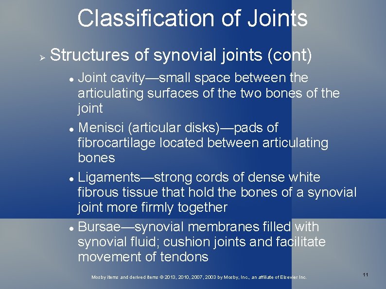 Classification of Joints Structures of synovial joints (cont) Joint cavity—small space between the articulating