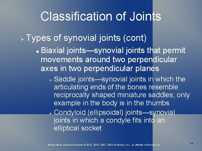 Classification of Joints Types of synovial joints (cont) Biaxial joints—synovial joints that permit movements