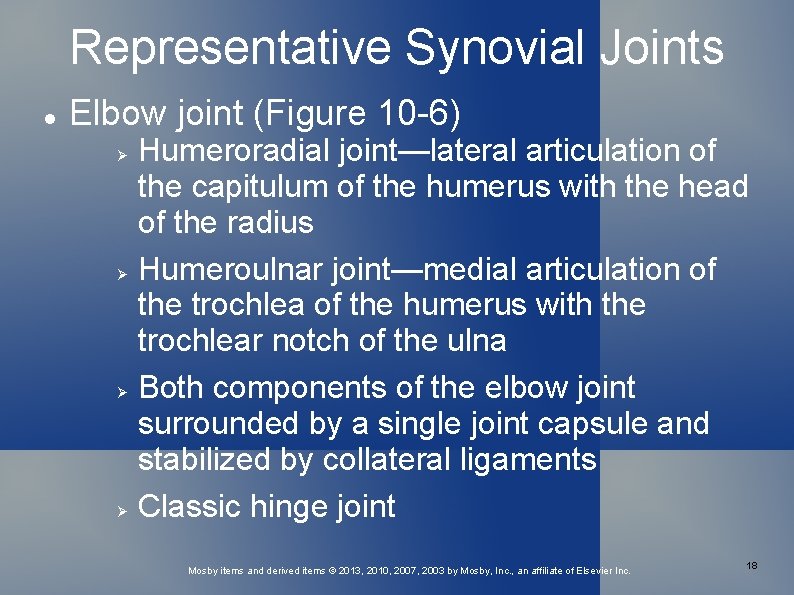 Representative Synovial Joints Elbow joint (Figure 10 -6) Humeroradial joint—lateral articulation of the capitulum