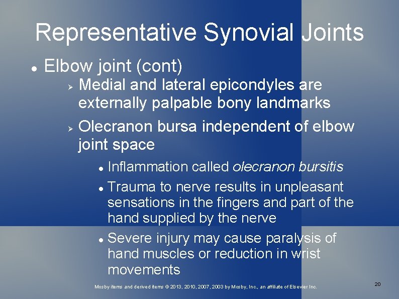 Representative Synovial Joints Elbow joint (cont) Medial and lateral epicondyles are externally palpable bony