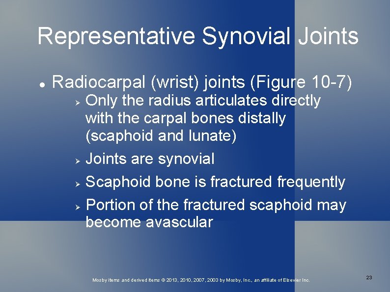 Representative Synovial Joints Radiocarpal (wrist) joints (Figure 10 -7) Only the radius articulates directly