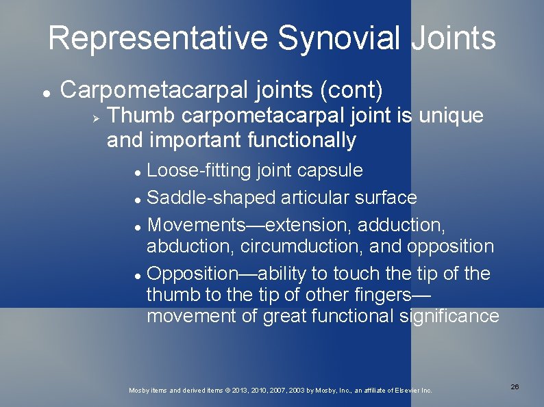 Representative Synovial Joints Carpometacarpal joints (cont) Thumb carpometacarpal joint is unique and important functionally