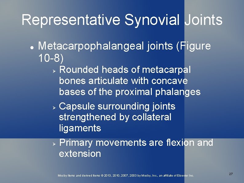 Representative Synovial Joints Metacarpophalangeal joints (Figure 10 -8) Rounded heads of metacarpal bones articulate