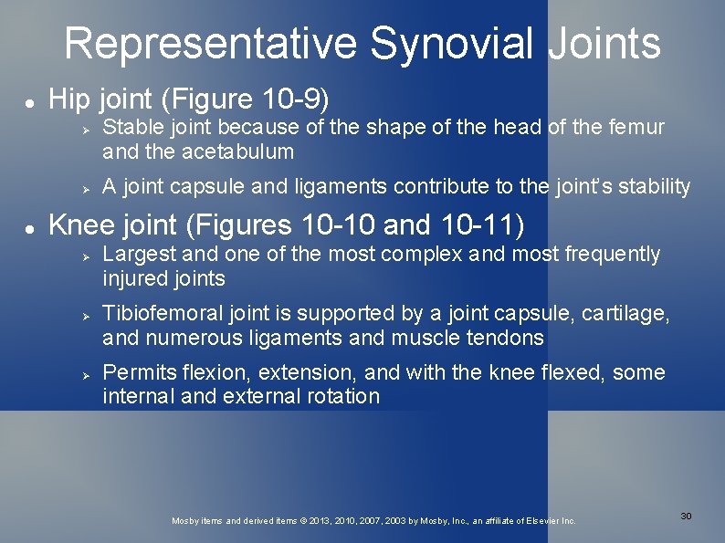Representative Synovial Joints Hip joint (Figure 10 -9) Stable joint because of the shape