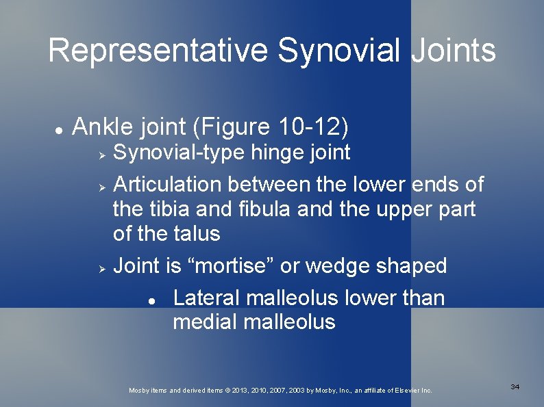 Representative Synovial Joints Ankle joint (Figure 10 -12) Synovial-type hinge joint Articulation between the