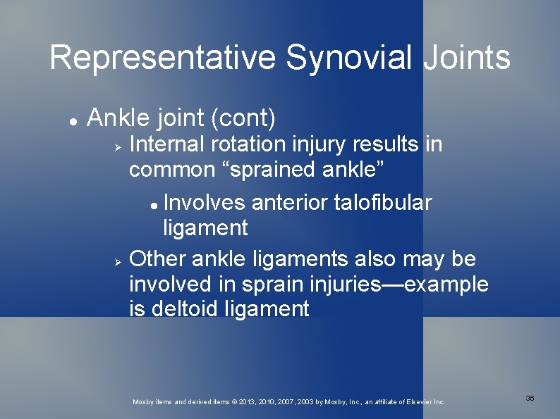 Representative Synovial Joints Ankle joint (cont) Internal rotation injury results in common “sprained ankle”