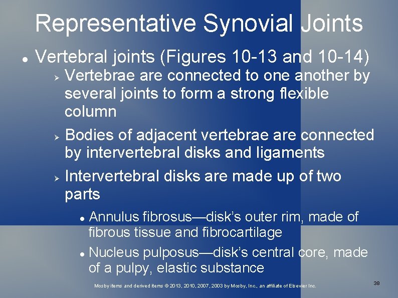 Representative Synovial Joints Vertebral joints (Figures 10 -13 and 10 -14) Vertebrae are connected