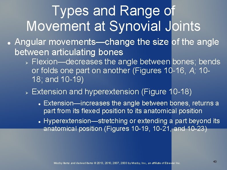 Types and Range of Movement at Synovial Joints Angular movements—change the size of the