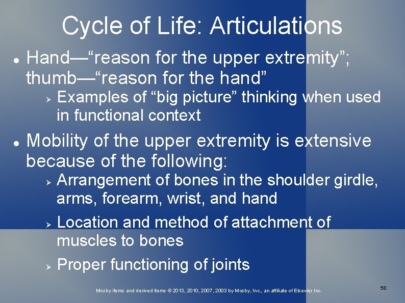 Cycle of Life: Articulations Hand—“reason for the upper extremity”; thumb—“reason for the hand” Examples