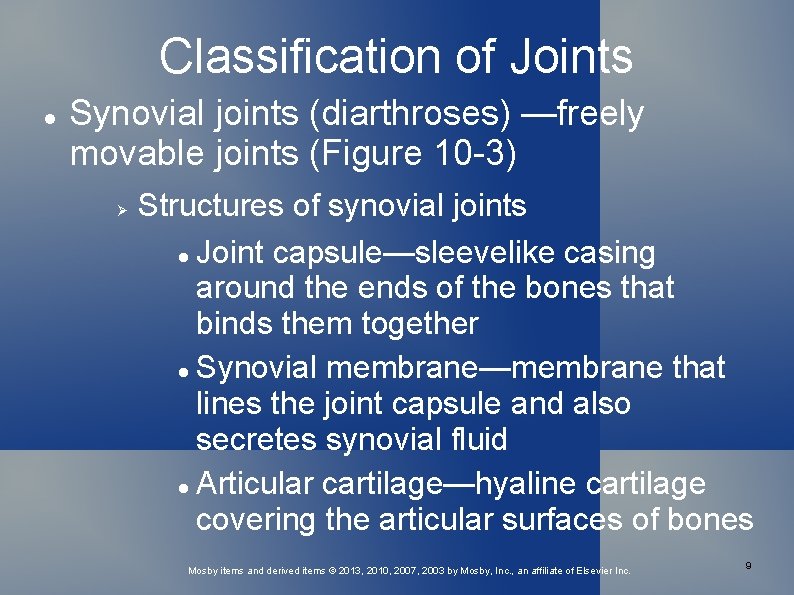 Classification of Joints Synovial joints (diarthroses) —freely movable joints (Figure 10 -3) Structures of