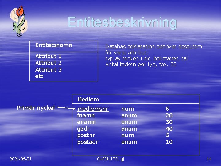 Entitesbeskrivning Entitetsnamn Databas deklaration behöver dessutom för varje attribut: typ av tecken t. ex.