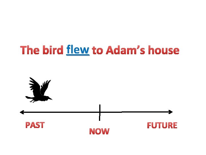 The bird flew to Adam’s house PAST NOW FUTURE 