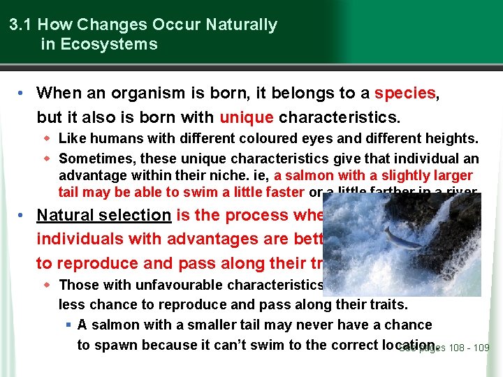 3. 1 How Changes Occur Naturally in Ecosystems • When an organism is born,