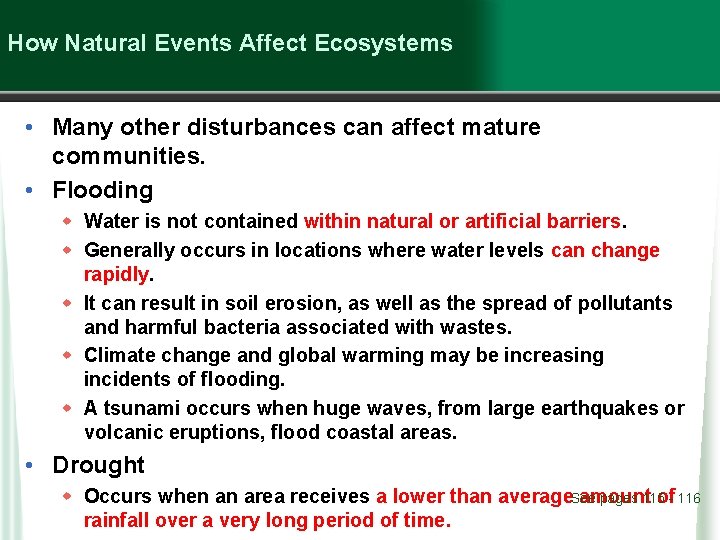 How Natural Events Affect Ecosystems • Many other disturbances can affect mature communities. •