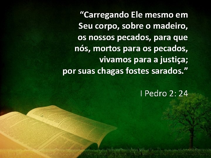 “Carregando Ele mesmo em Seu corpo, sobre o madeiro, os nossos pecados, para que