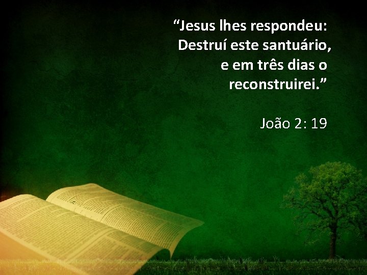 “Jesus lhes respondeu: Destruí este santuário, e em três dias o reconstruirei. ” João