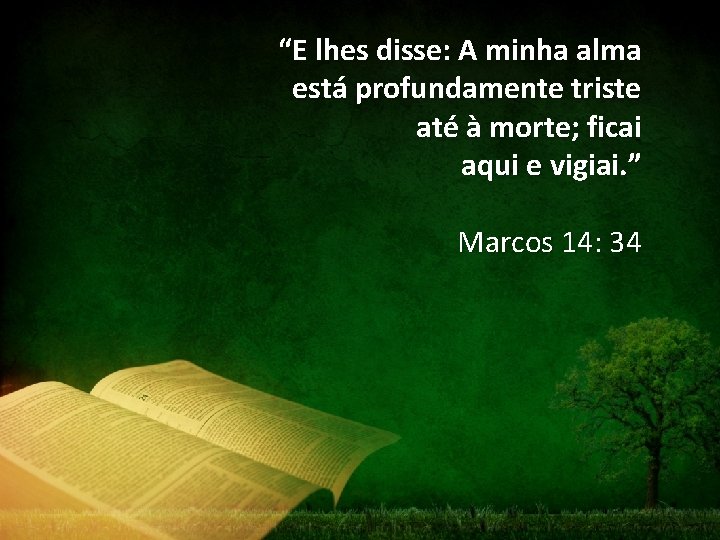 “E lhes disse: A minha alma está profundamente triste até à morte; ficai aqui