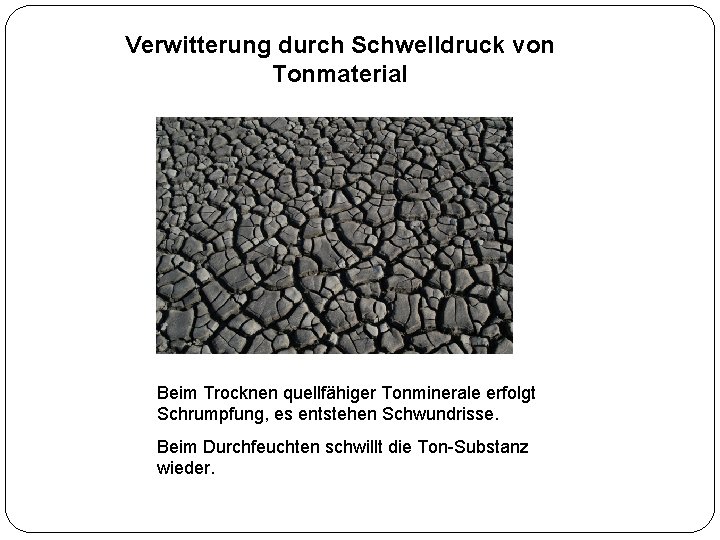 Verwitterung durch Schwelldruck von Tonmaterial Beim Trocknen quellfähiger Tonminerale erfolgt Schrumpfung, es entstehen Schwundrisse.