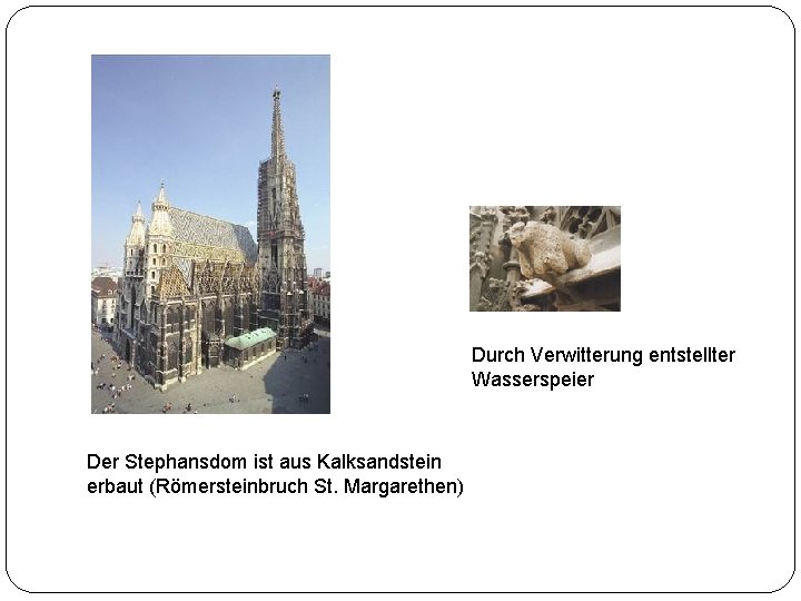 Durch Verwitterung entstellter Wasserspeier Der Stephansdom ist aus Kalksandstein erbaut (Römersteinbruch St. Margarethen) 