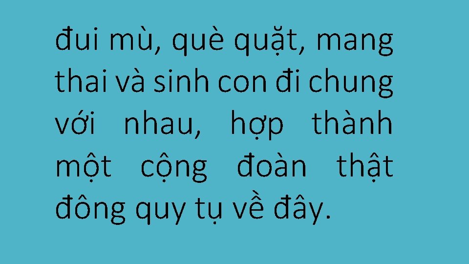 đui mù, què quặt, mang thai và sinh con đi chung với nhau, hợp