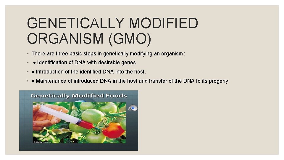 GENETICALLY MODIFIED ORGANISM (GMO) ◦ There are three basic steps in genetically modifying an