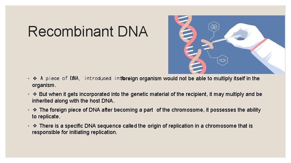 Recombinant DNA ◦ A piece of DNA, introduced into a foreign organism would not