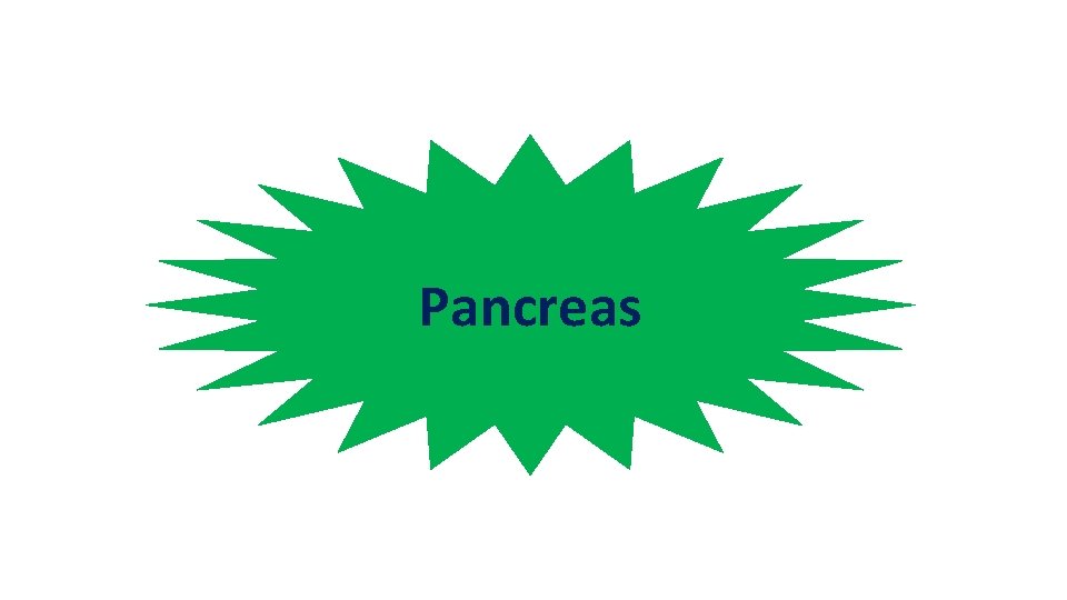 Pancreas 