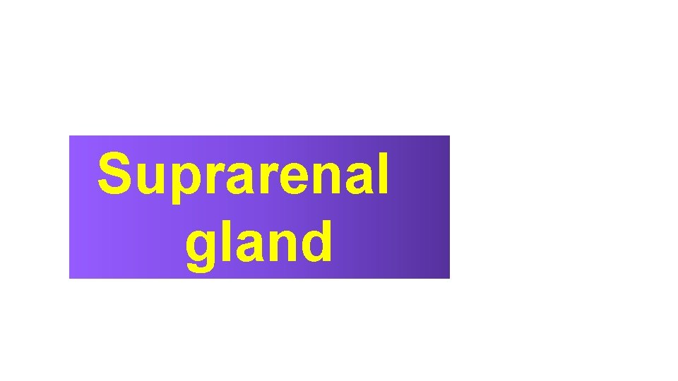 Suprarenal gland 