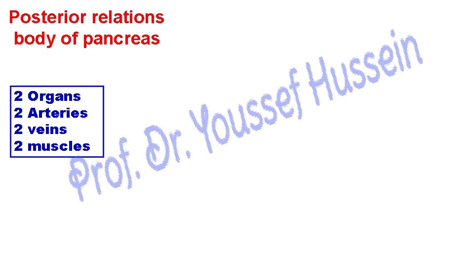 Posterior relations body of pancreas 2 2 Organs Arteries veins muscles 