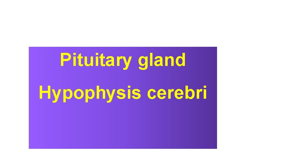 Pituitary gland Hypophysis cerebri 