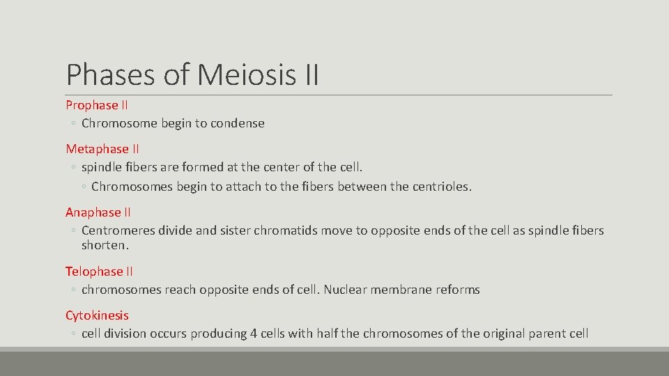 Phases of Meiosis II Prophase II ◦ Chromosome begin to condense Metaphase II ◦