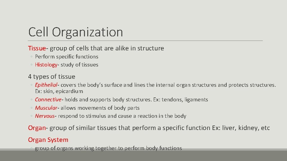 Cell Organization Tissue- group of cells that are alike in structure ◦ Perform specific