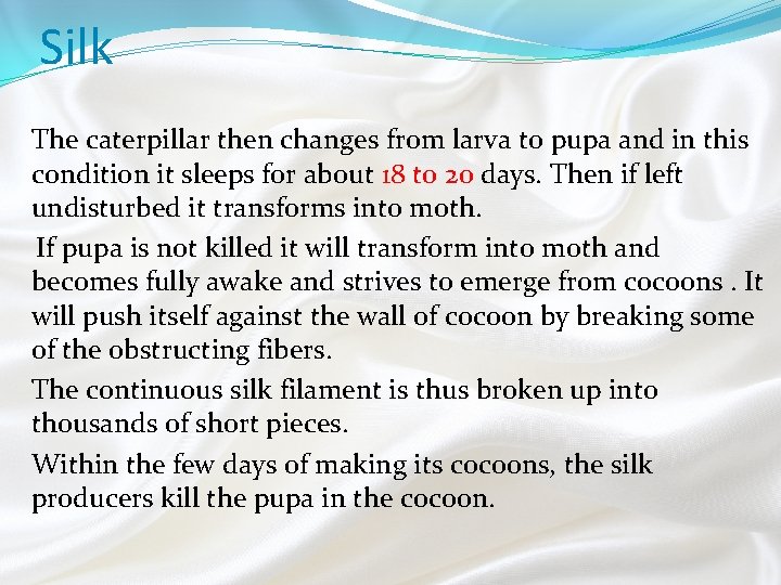 Silk The caterpillar then changes from larva to pupa and in this condition it