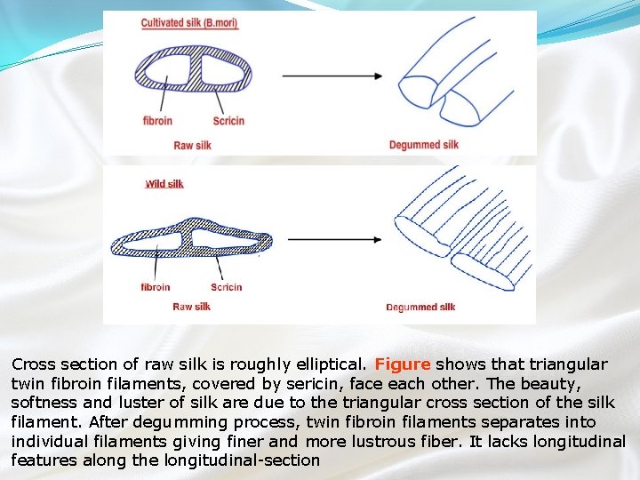 Cross section of raw silk is roughly elliptical. Figure shows that triangular twin fibroin