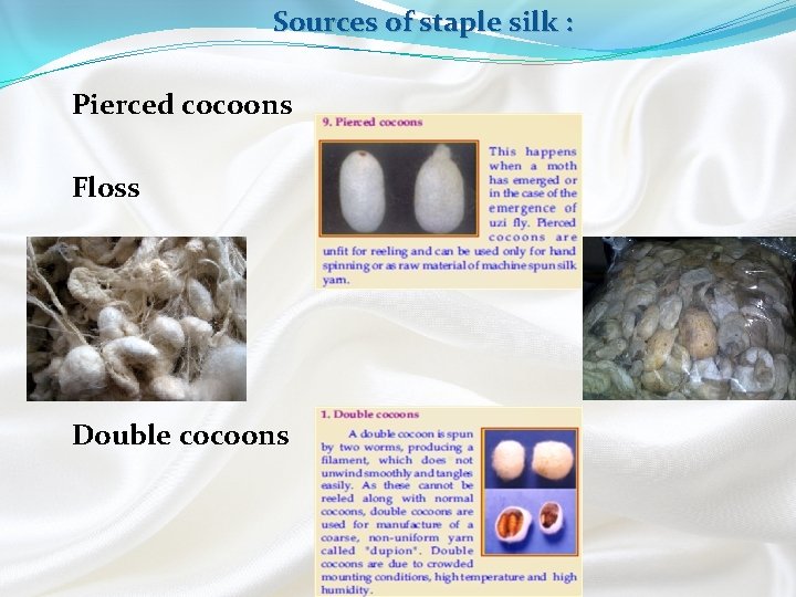 Sources of staple silk : Pierced cocoons Floss Double cocoons 