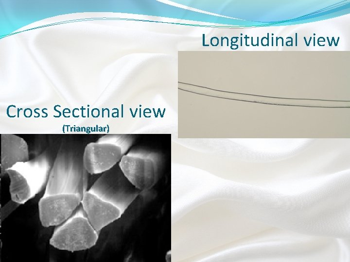 Longitudinal view Cross Sectional view (Triangular) 