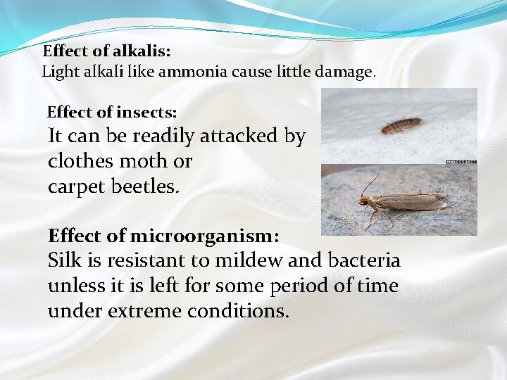 Effect of alkalis: Light alkali like ammonia cause little damage. Effect of insects: It