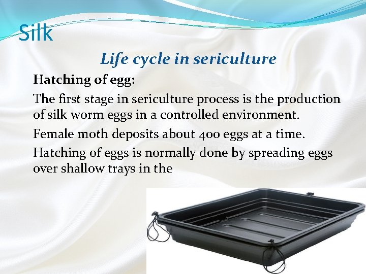 Silk Life cycle in sericulture Hatching of egg: The first stage in sericulture process