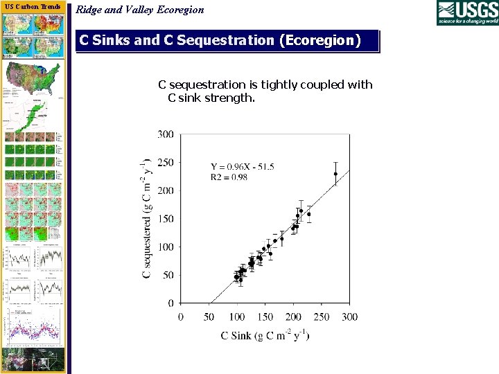 US Carbon Trends Ridge and Valley Ecoregion C Sinks and C Sequestration (Ecoregion) C