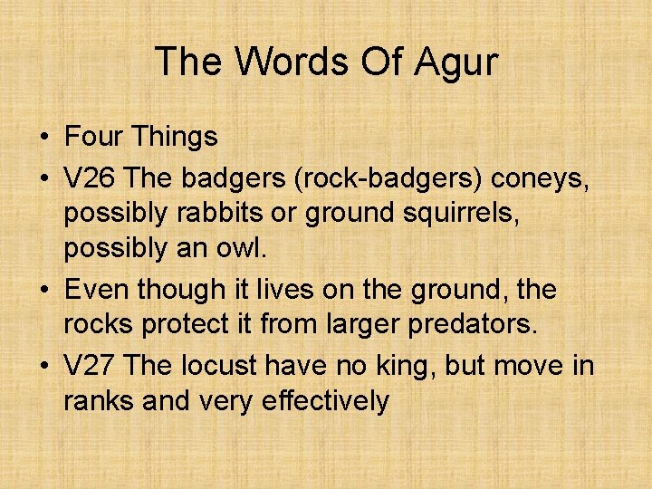 The Words Of Agur • Four Things • V 26 The badgers (rock-badgers) coneys,