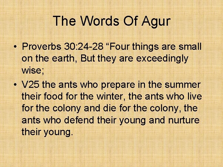 The Words Of Agur • Proverbs 30: 24 -28 “Four things are small on