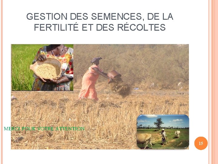 GESTION DES SEMENCES, DE LA FERTILITÉ ET DES RÉCOLTES MERCI POUR VOTRE ATTENTION 15