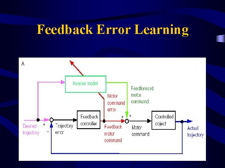 Feedback Error Learning 