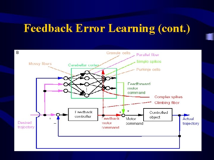 Feedback Error Learning (cont. ) 