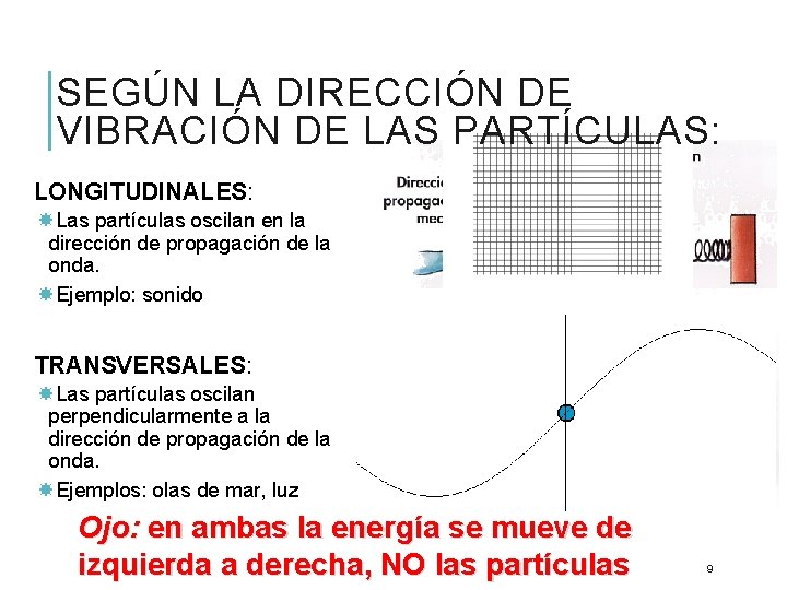 SEGÚN LA DIRECCIÓN DE VIBRACIÓN DE LAS PARTÍCULAS: LONGITUDINALES: Las partículas oscilan en la