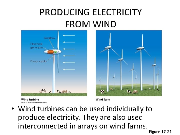 PRODUCING ELECTRICITY FROM WIND • Wind turbines can be used individually to produce electricity.