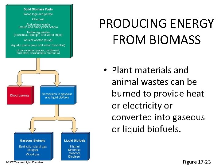 PRODUCING ENERGY FROM BIOMASS • Plant materials and animal wastes can be burned to