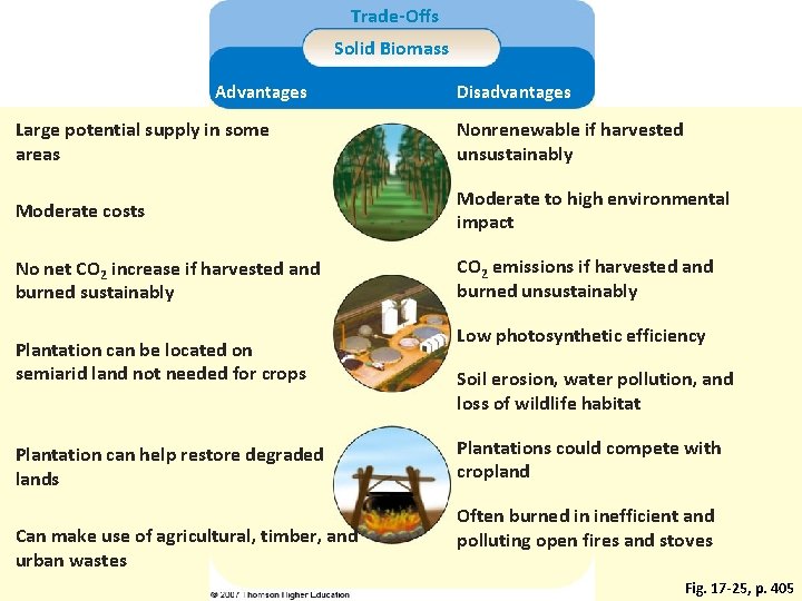 Trade-Offs Solid Biomass Advantages Disadvantages Large potential supply in some areas Nonrenewable if harvested